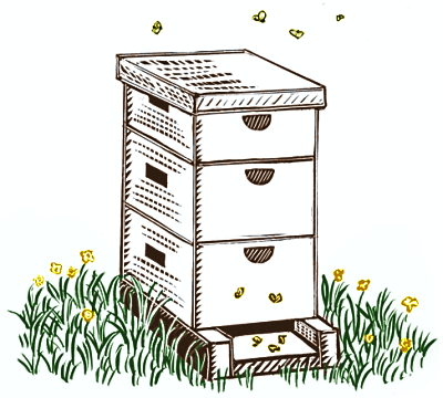 400x360 Baby Bees House Free Bee Hive Drawing