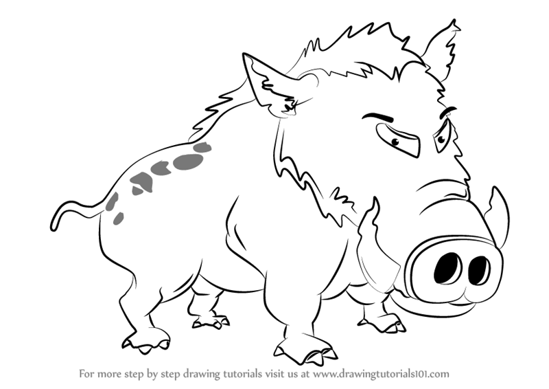 800x566 Learn How To Draw Wild Boar For Kids (Animals For Kids) Step By