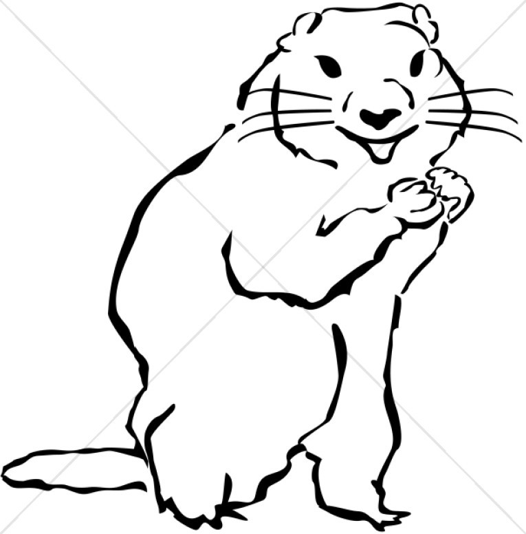 765x776 New Groundhog Clipart Black And White Ground Hog Drawing