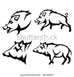 236x246 Drawings Of Wild Hogs Drawings I Like Drawings