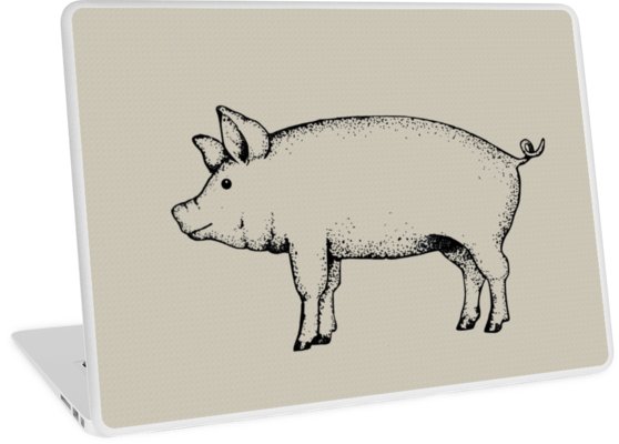 558x400 Pig Outline Art Standing Pig Hog Drawing Laptop Skins By Joyce