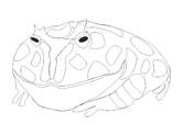 166x124 Frogs Coloring Pages