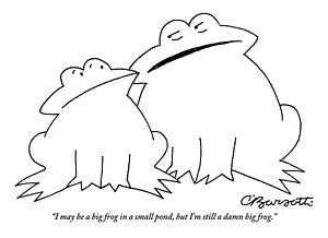 300x218 Frogs Drawings Fine Art America