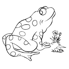 230x230 25 Delightful Frog Coloring Pages For Your Little Ones