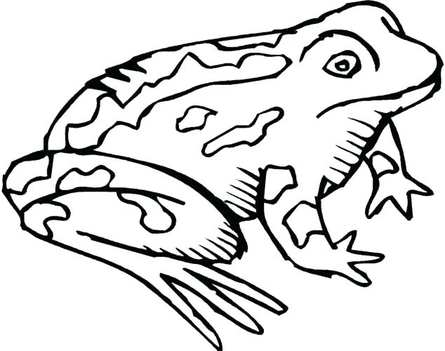 634x500 Toad Coloring Pages Coloring Page Frog And Toad Coloring Pages