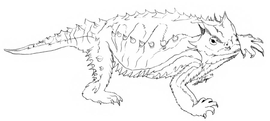 900x403 Collection Of Desert Horned Lizard Drawing High Quality