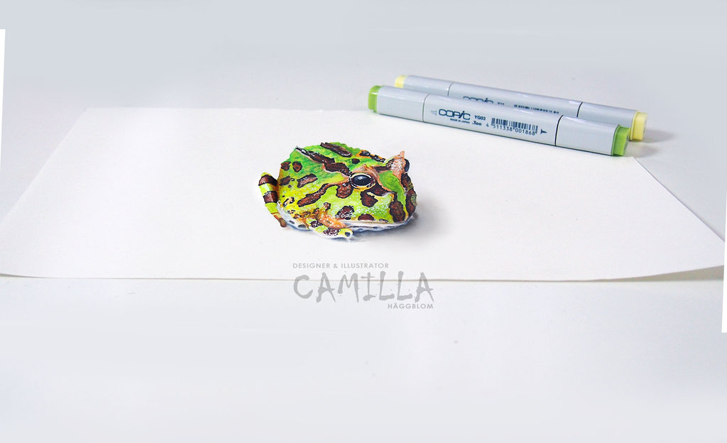 1024x624 Pacman Frog Anamorphic Drawing By Camillahaggblom