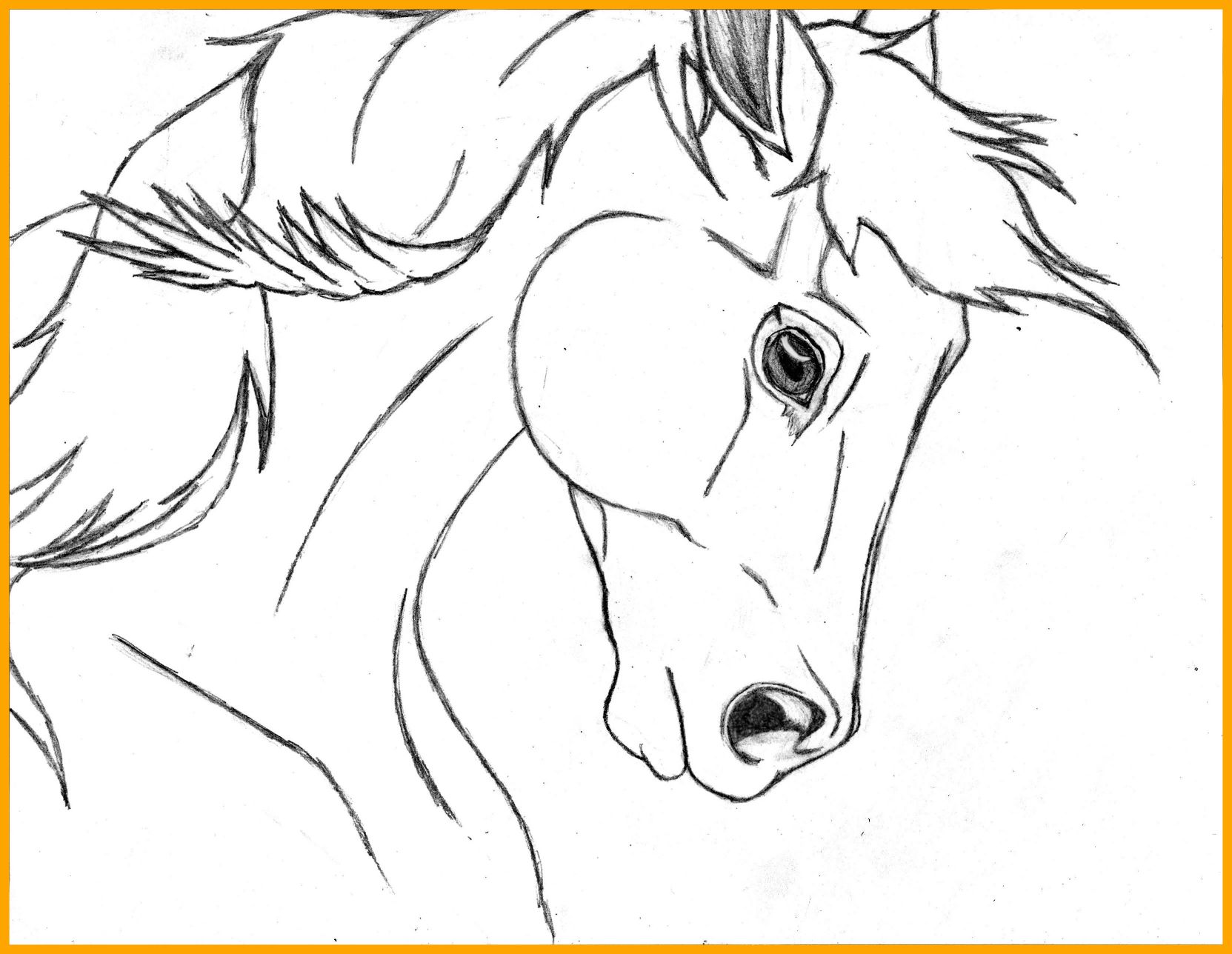 1663x1288 Awesome Horse Head Coloring Page Depetta Image For Front View