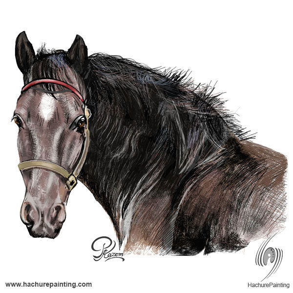 600x600 Horse's Head, Drawing From The Front View Tutorial