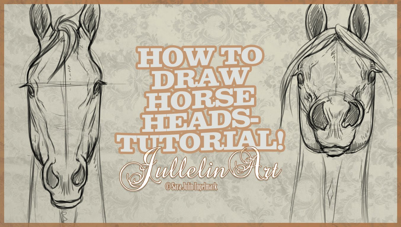 1354x768 How To Draw Horse Heads From The Front