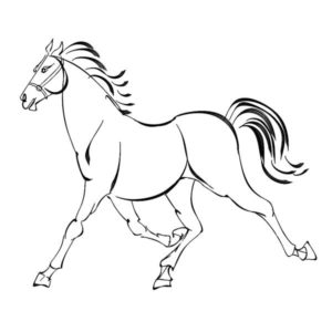 300x300 Horse Drawing Tutorial Archives