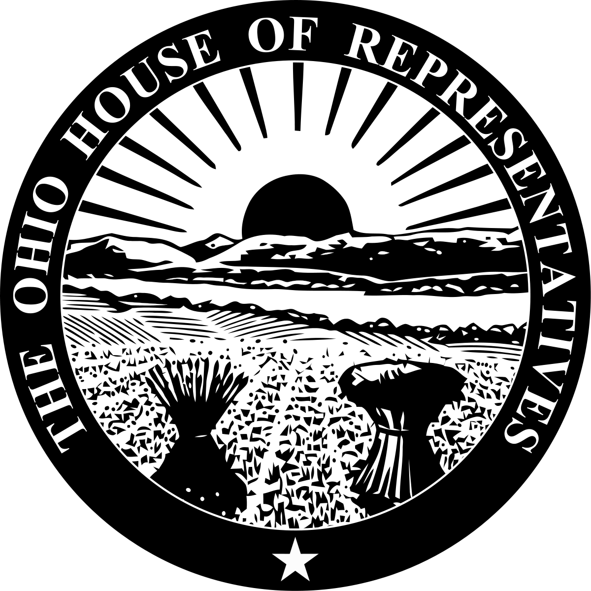 1200x1200 Ohio House Of Representatives