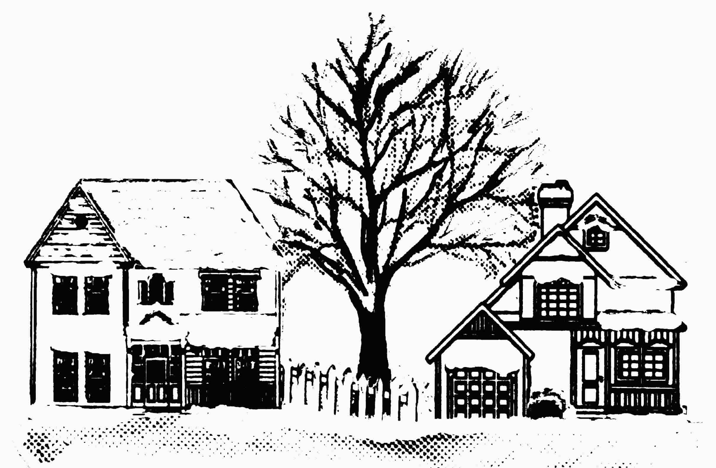 2421x1581 Over The Fence