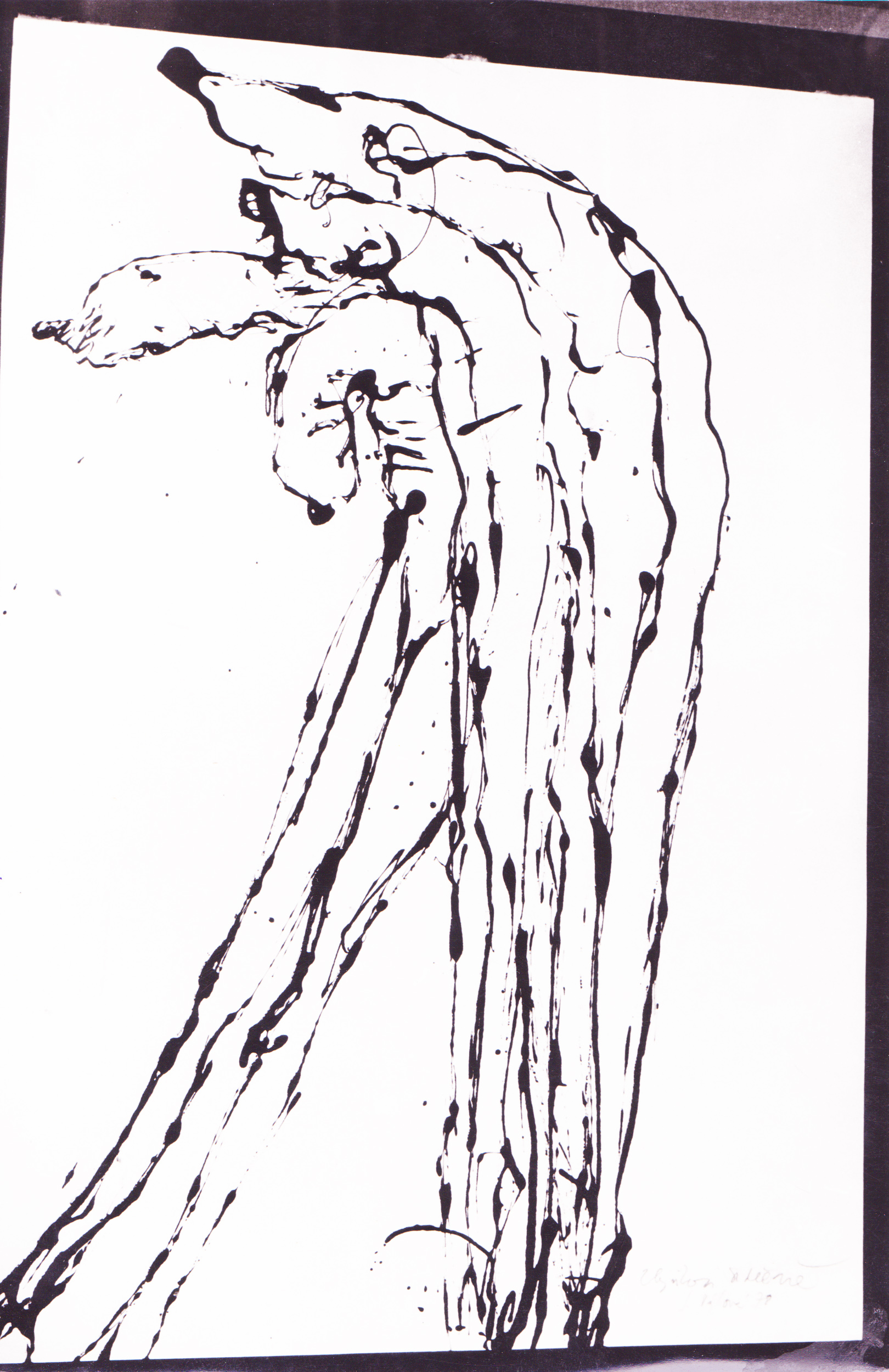 1620x2500 The Sisters Agosto Foundation