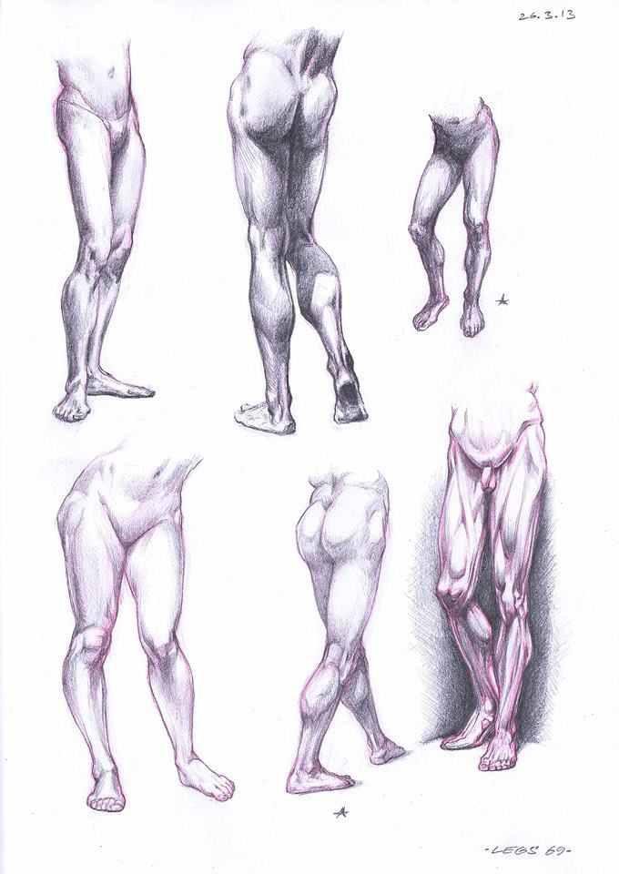 680x960 90 Best Human Anatomy Artist Reference Images