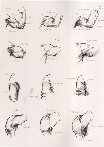 440x620 Painting Reference