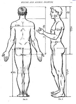 307x416 The 14 Best Art Princibles Proportion Scale Images