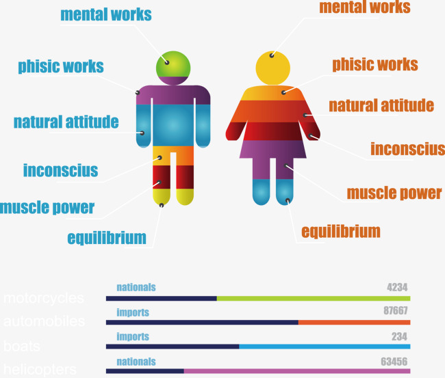 650x553 Human Scale Drawing Vector, Data, Partition, Percentage Png