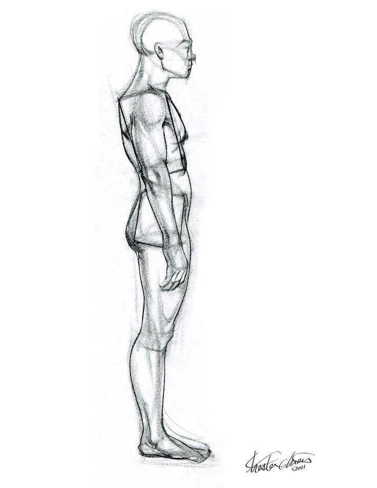 736x952 46 Best Figure Drawing Reference Images On Human