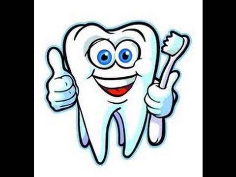 480x360 Human Teeth Types Video For Kids