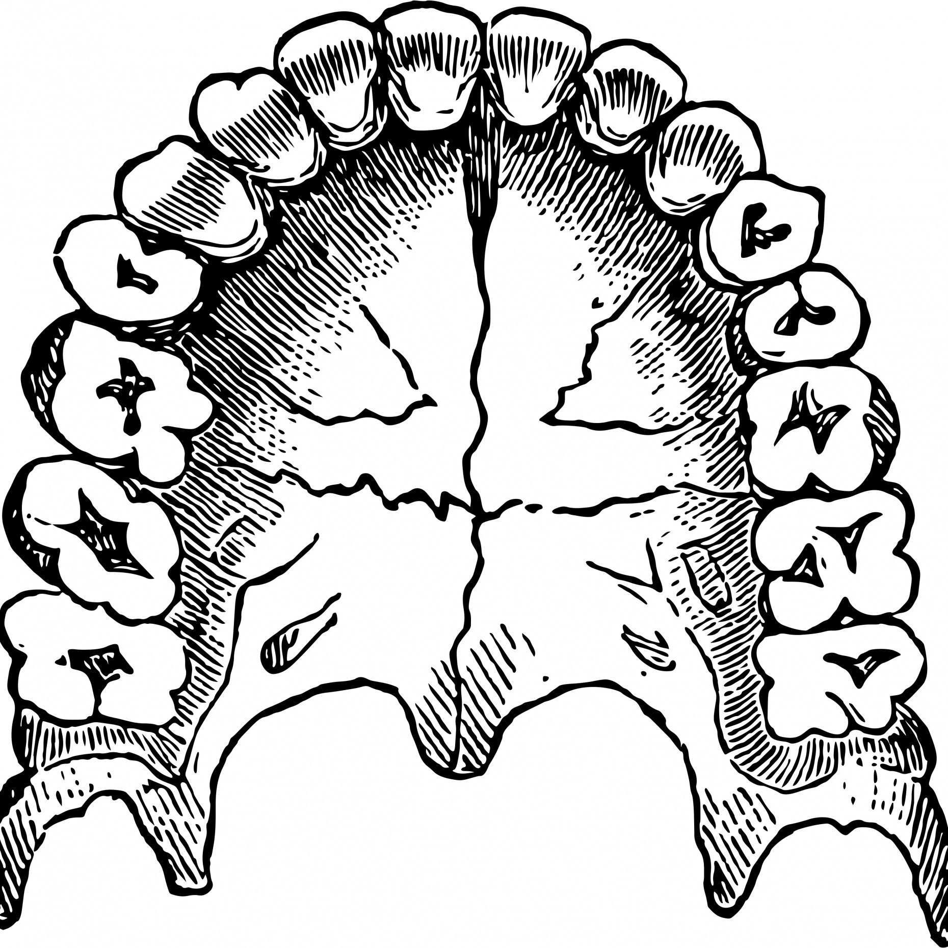 1860x1860 Extollo Jewelry By Extollojewelry On Etsy