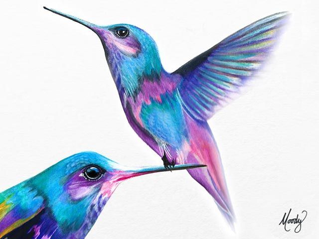 640x480 Hummingbird Art