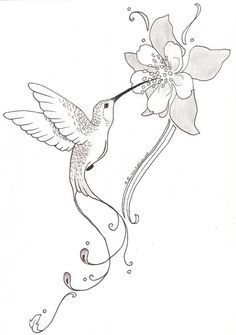236x335 Para Bordar Dibujo Hummingbird