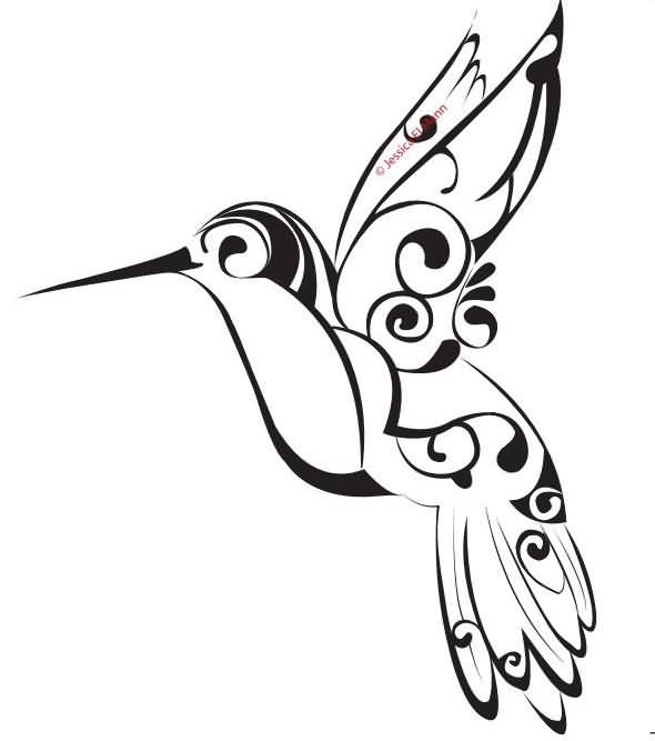 590x667 Drawn Hummingbird Small Bird