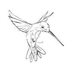 236x236 How To Draw A Bird Step By Step Easy With Pictures