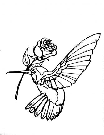333x431 Hummingbird Clipart Hummingbird Outline