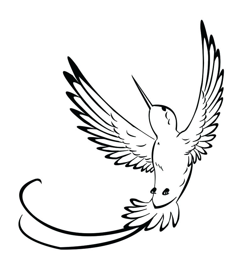 736x818 Hummingbird Drawing Outline How To Draw A R Hummingbird Outline