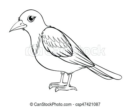 450x366 Hummingbird Outline Hummingbird Outline Bird Drawing Outline