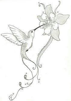 236x335 Image Result For Black And White Pictures Of Hummingbirds