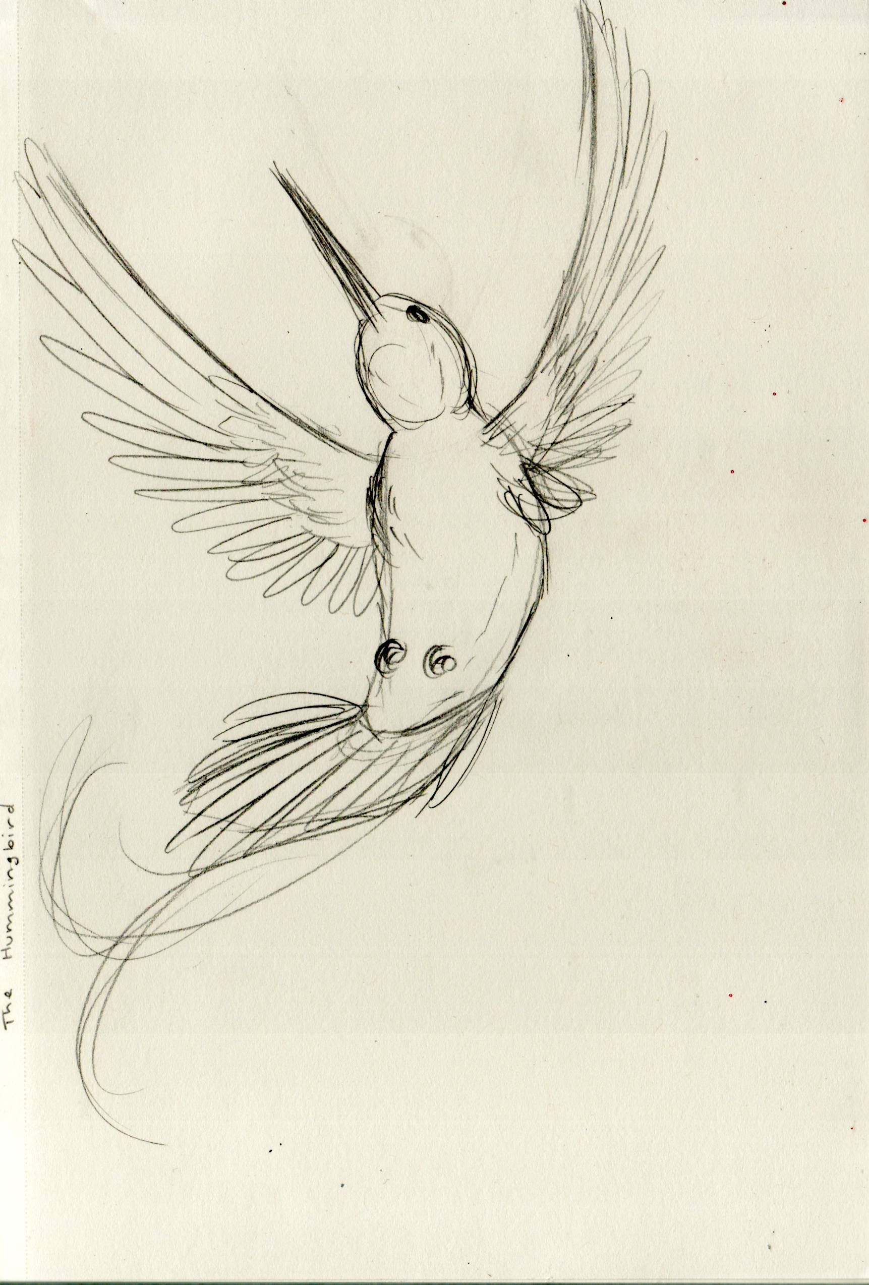 1723x2548 Simple Hummingbird Design