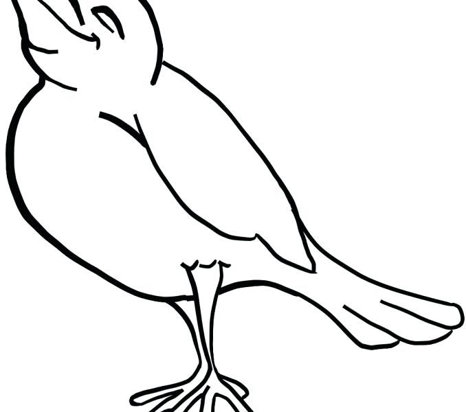 678x600 Birds Outline Collection Birds Outline Hummingbird Tattoo Outline