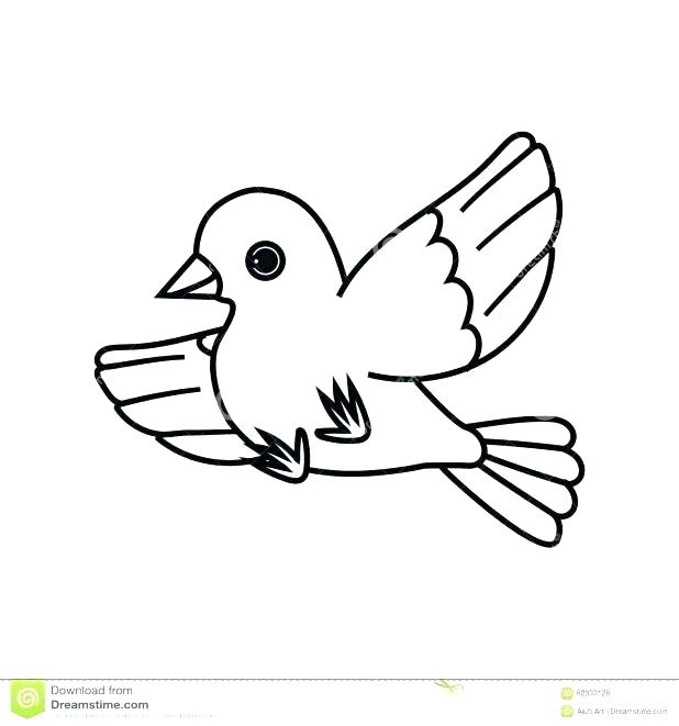 618x661 Birds Outlines Graphics Download Free Vector Art Stock Graphics