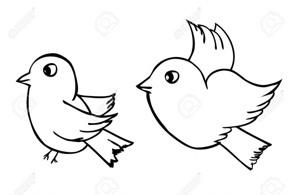 1024x682 Colorful Bird Outline Drawing Draw Hummingbirds Simple