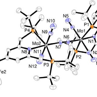 320x320 Figure S1. Ortep Drawing Of 6 H 14. Hydrogen Atoms