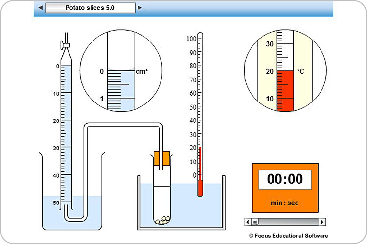 750x500 Decomposition Of Hydrogen Peroxide By Catalase Experiment By Focus