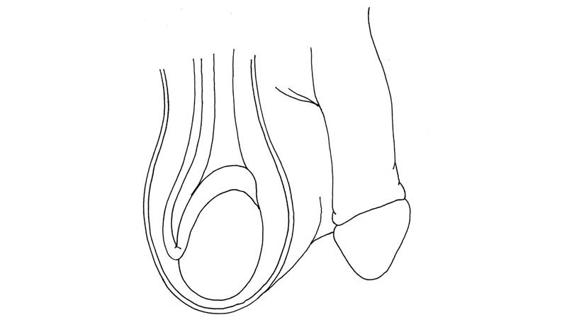 800x455 Urban Quo A Men's Lifestyle Website Women Describe And Draw