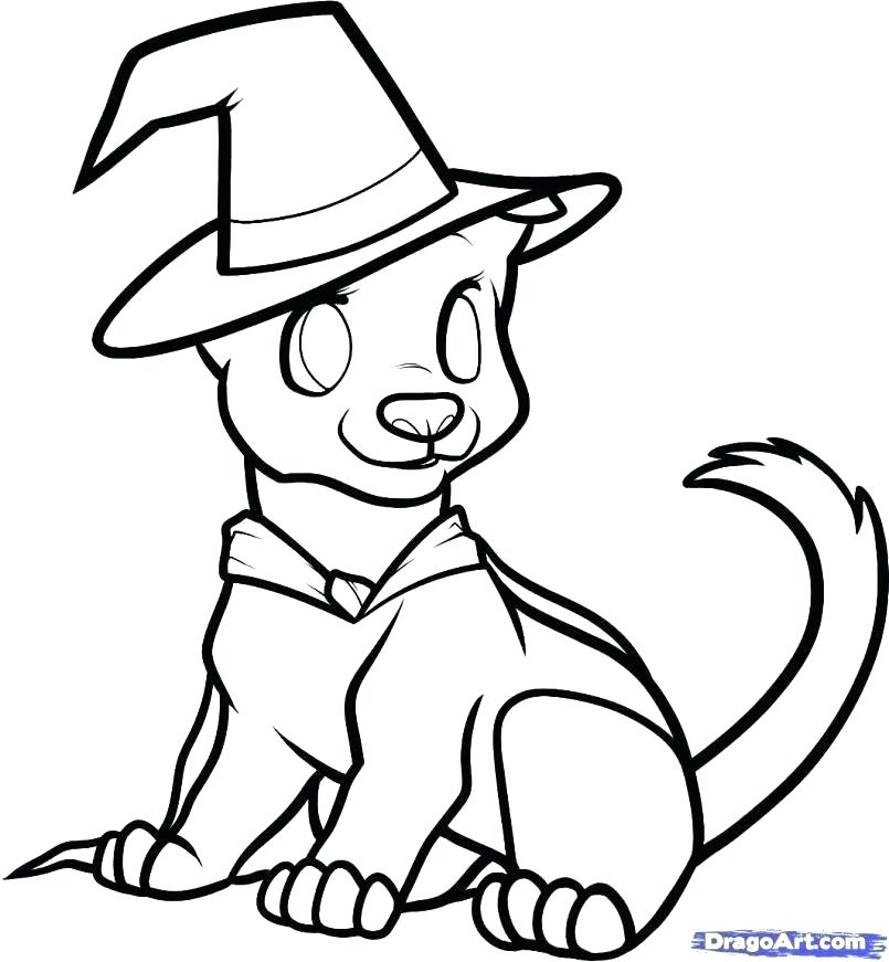 805x871 Halloween Drawing Ideas Drawings Easy Drawing Ideas Pumpkin