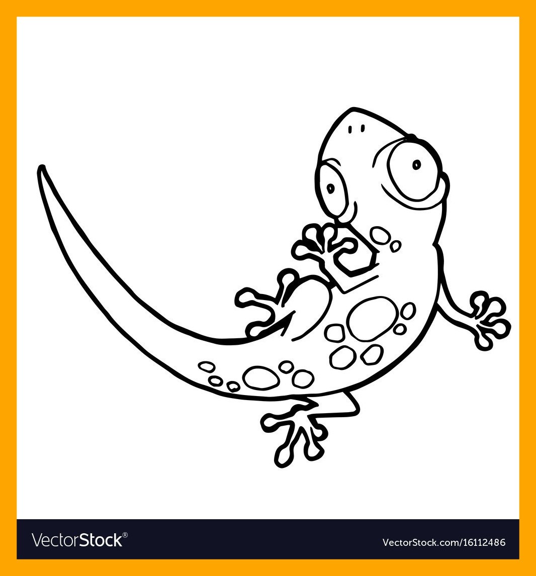1066x1146 Inspiring Cartoon Cute Gecko Coloring Page Royalty Vector Image