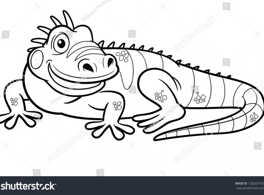 1080x800 Printable Iguana Coloring Pages Letter I Incredible Page Animals