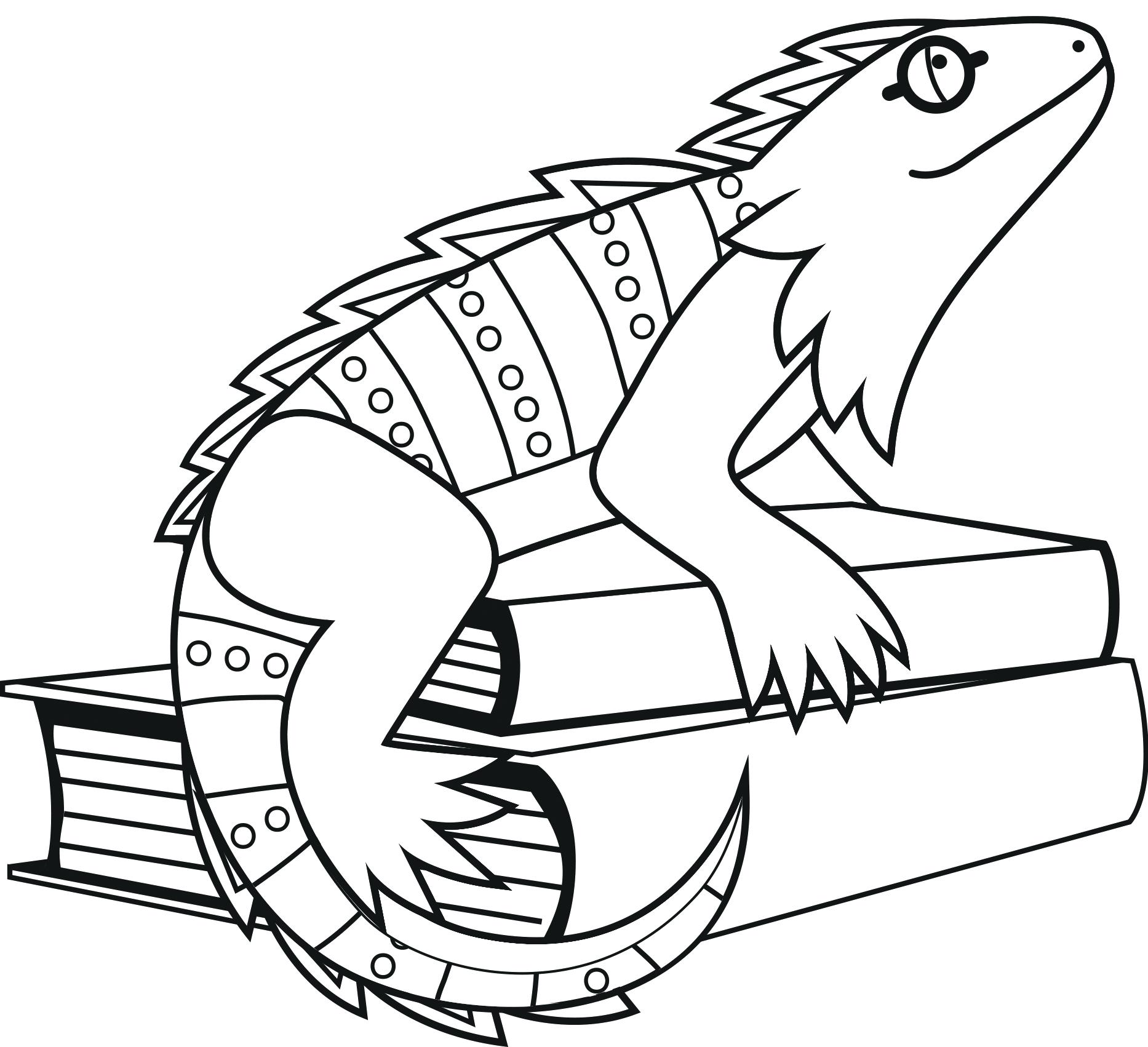 1866x1702 Iguana Coloring Page