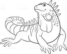 236x191 Cartoon Illustration Of Funny Iguana Lizard Reptile Animal