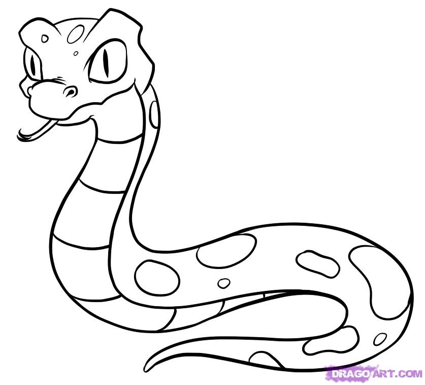 837x757 Drawn Reptile Easy