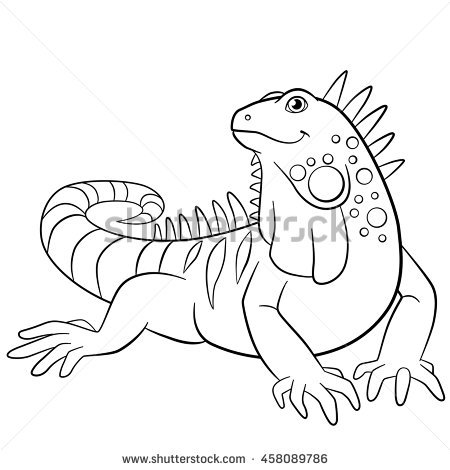 Iguana Drawing Outline