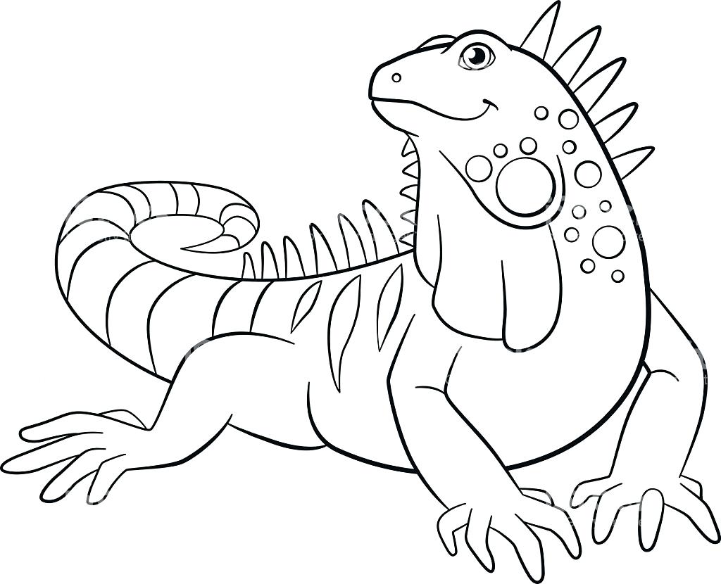 1024x830 Simplified Iguana Coloring Page 8113