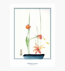Ikebana Drawing at GetDrawings | Free download