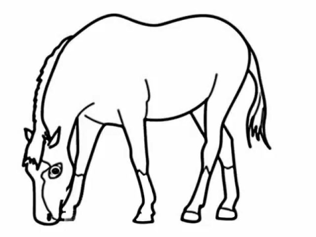 640x480 A Drawing Of A Horse Eating Horse